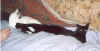 Auf_dem_Sofa1.jpg (90841 Byte)