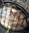 Zwei Babys