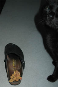 Peppi und das Copus Delikti 