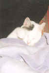 Sogar mit Decke