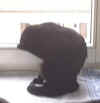 LissiFenster1.jpg (23030 Byte)