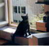 LissiGras1.jpg (86793 Byte)