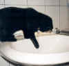 LissiWasser1.jpg (53254 Byte)