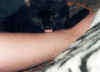 Lissileckt1.jpg (53739 Byte)