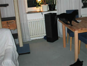 Lissi und unten Peppi