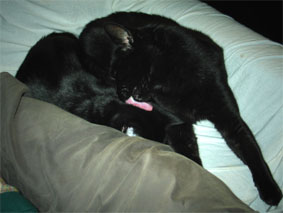 Lissi und Peppi