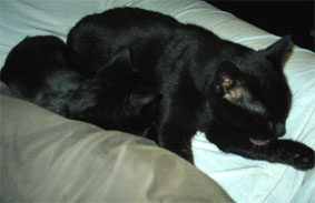 Lissi und Peppi
