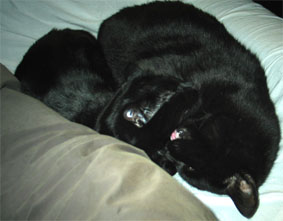 Lissi und Peppi