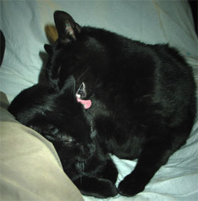 Lissi und Peppi