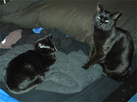 Lissi und Peppi