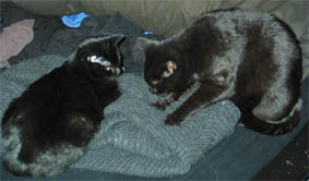 Lissi und Peppi