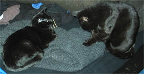 Lissi und Peppi