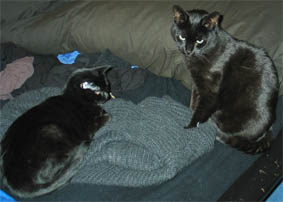 Lissi und Peppi