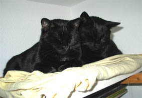 Lissi und Peppi
