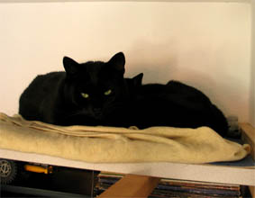Peppi und Lissi