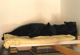 Peppi und Lissi