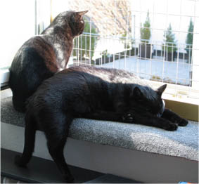 Lissi und Peppi
