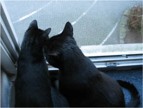 Lissi und Peppi