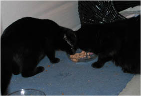 Lissi und Peppi