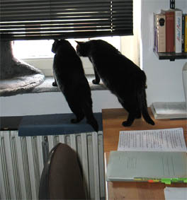 Lissi und Peppi