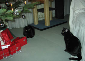 Peppi und Lissi warten auf das Christkind