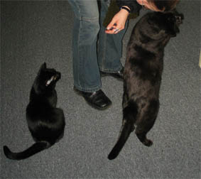 Lissi und Peppi