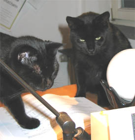 Lissi und Peppi