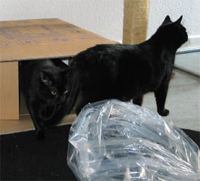 Lissi und Peppi