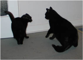 Lissi und Peppi