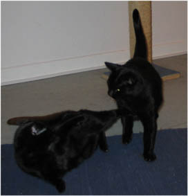 Lissi und Peppi