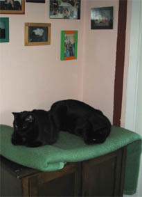 Lissi und Peppi