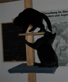 Lissi und Peppi