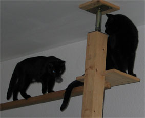 Lissi und Peppi
