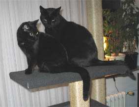 Lissi und Peppi