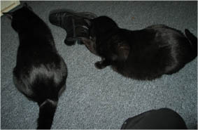 Lissi und Peppi