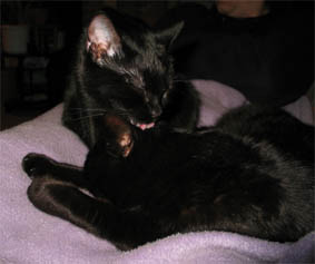 Lissi und Peppi