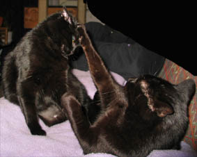 Lissi und Peppi
