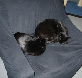 Lissi und Peppi