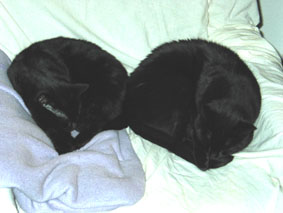 Lissi und Peppi