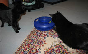 Lissi und Peppi