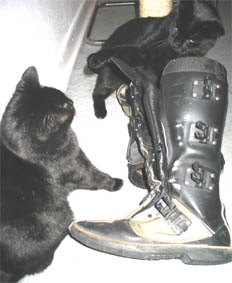 Lissi und Peppi