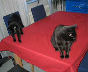 Lissi und Peppi