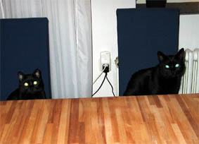 Lissi und Peppi