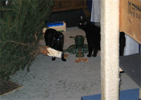 Lissi, Peppi und der Weihnachtsbaum