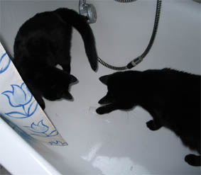 Lissi und Peppi
