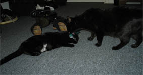Lissi und Peppi