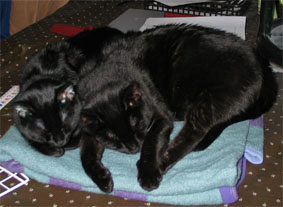 Lissi und Peppi