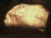 NacktbauchD.jpg (112820 Byte)