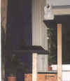 NeuerKratzbaum4.jpg (28099 Byte)