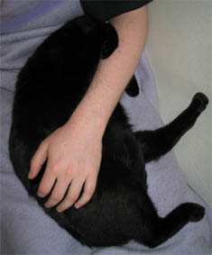 Peppi unter Daniels Arm!